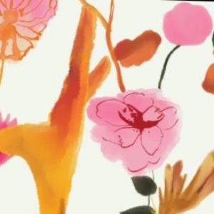印花面料